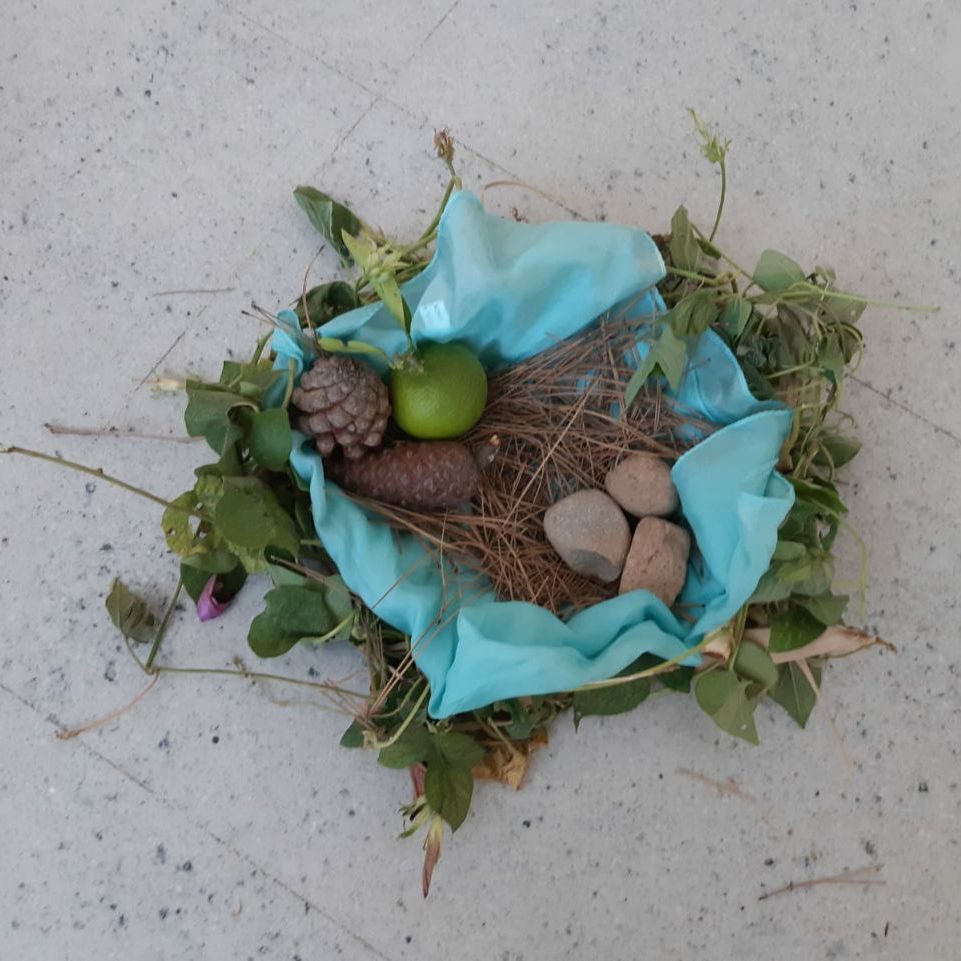 creacion-nido-naturaleza-alma-trabajo-personal-biografico-biografia-vida-antroposofia-entrebiografias-autoconsciencia